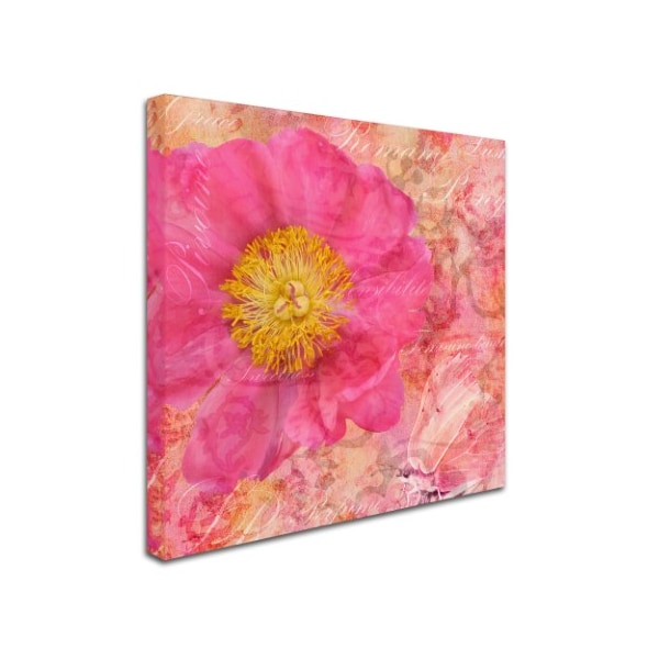 Cora Niele 'Peony - Feminine Beauty' Canvas Art,35x35